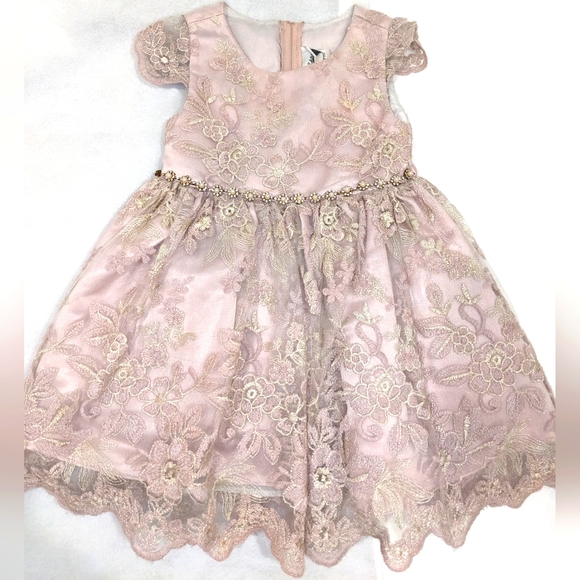 Rare Editions Toddler Girl Lace Dress - Picture 10 of 11